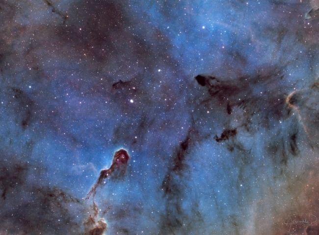 Nébuleuse trompe éléphant - Tirage Prestige